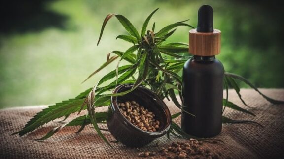 Anvisa fará consulta pública para atualizar regulamentação da cannabis