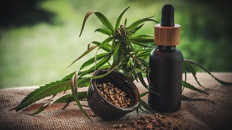 Anvisa fará consulta pública para atualizar regulamentação da cannabis
