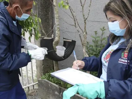 Curitiba reduz prazo para limpeza de terrenos e imóveis com focos de dengue