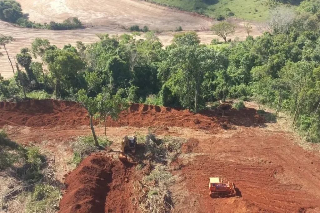 STF permite desapropriação de terra por incêndio ilegal e desmatamento