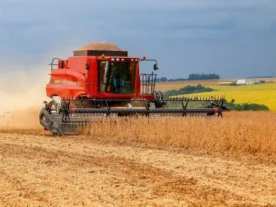Economia brasileira cresce 1,6% no 1º trimestre, mostra prévia da FGV