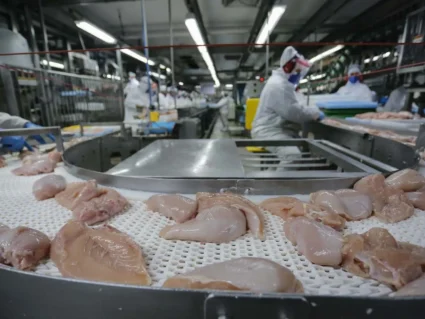 China e UE suspendem carne de frango brasileira; Paraná é o principal impactado