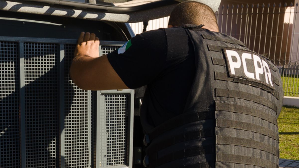 suspeito, estupro, flagrante, prisão, rebouças, campos gerais, pcpr, polícia civil do paraná