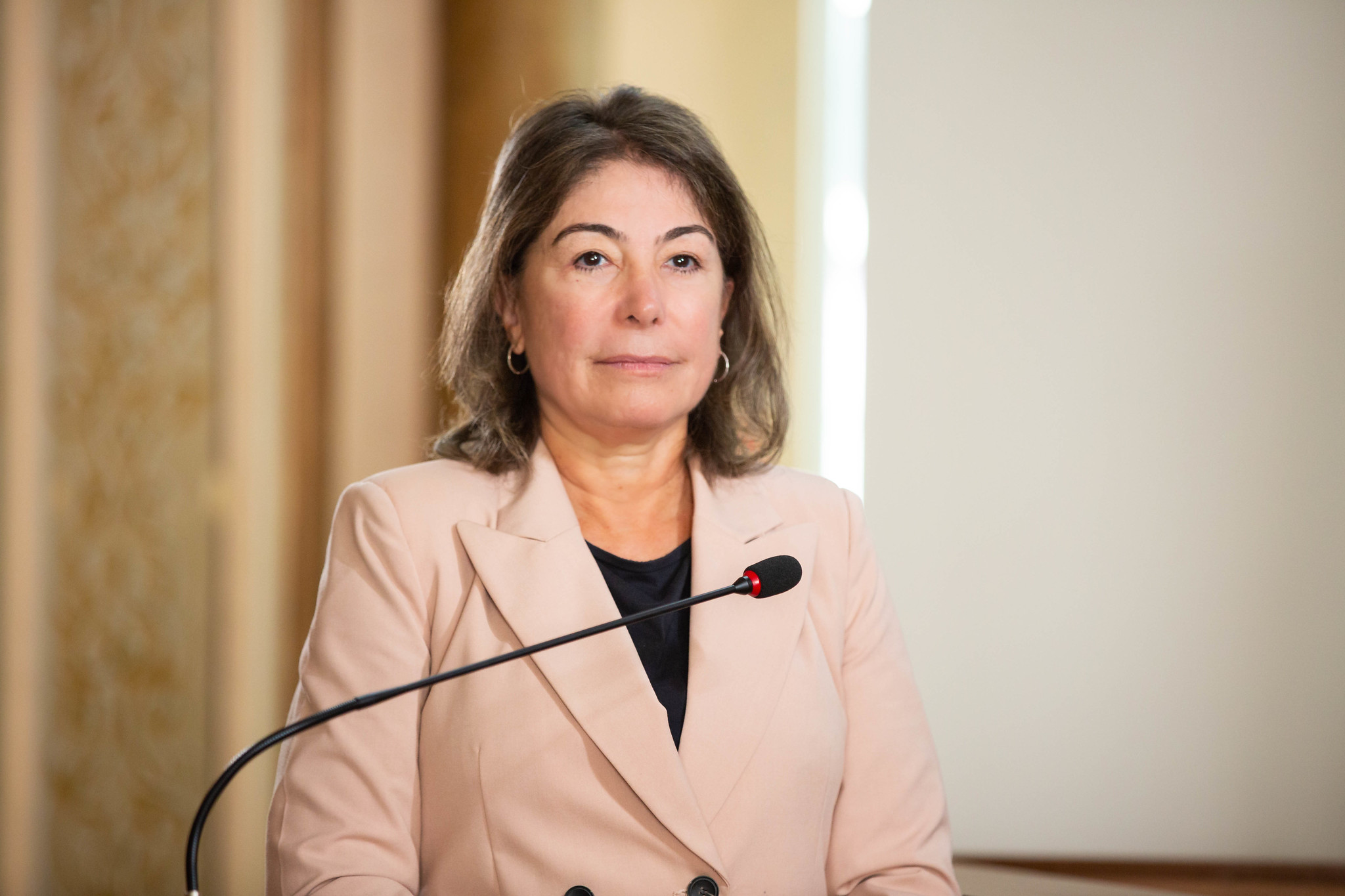 maria letícia vereadora curitiba câmara de vereadores