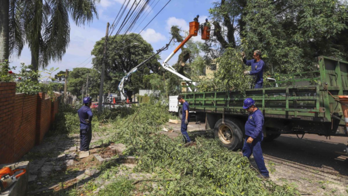 temporal, tempestade, chuva, curitiba, árvore, galho, energia elétrica, copel, prefeitura de curitiba