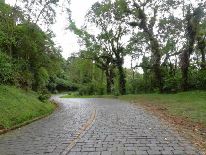 Chuvas adiam obras na Estrada da Graciosa