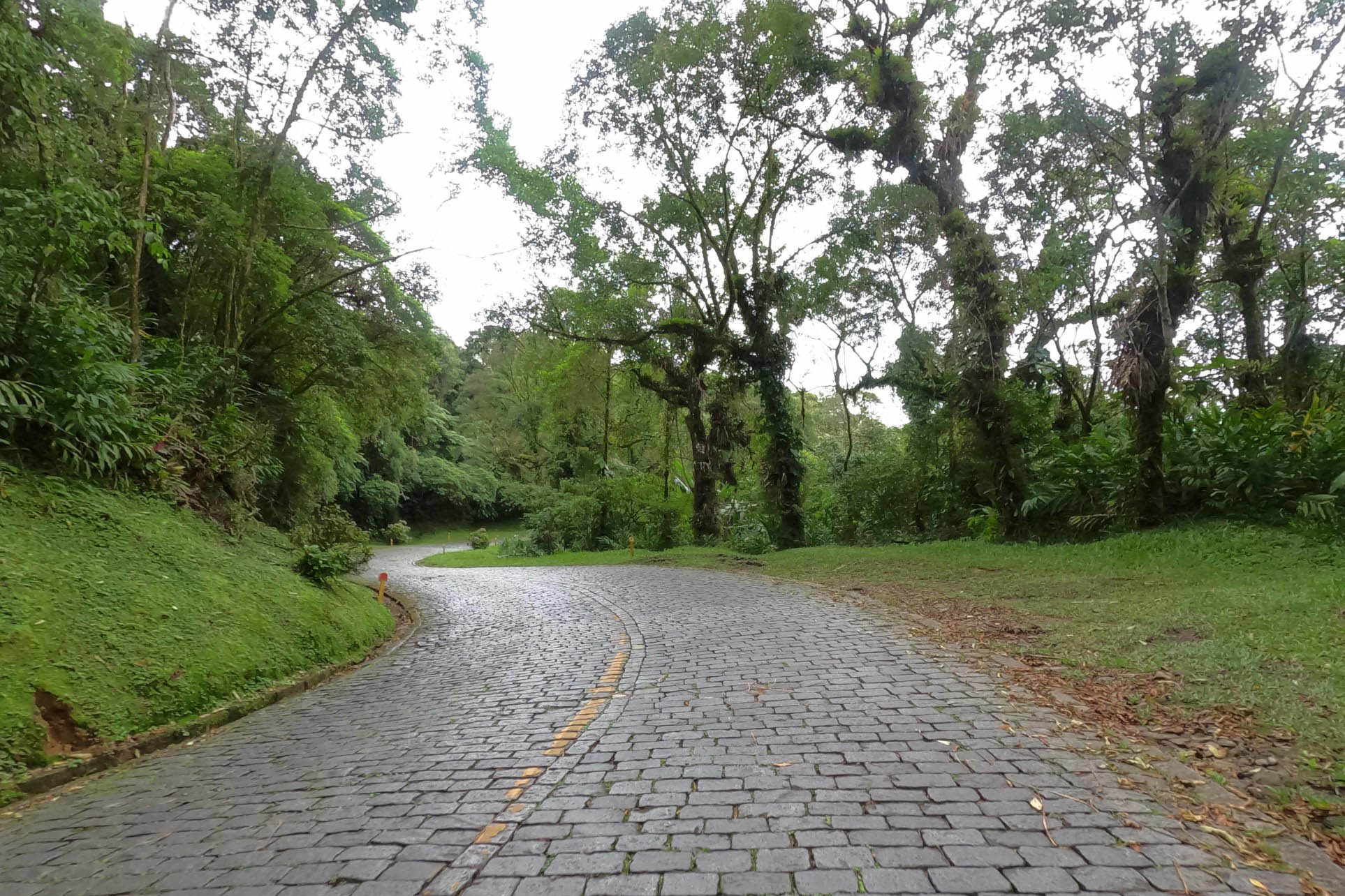 estrada da graciosa resultado licitação