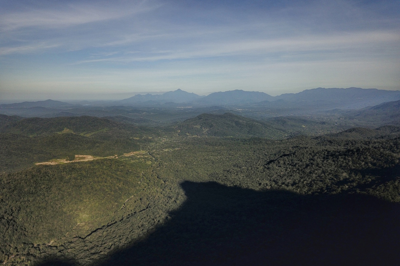 mata atlântica paraná