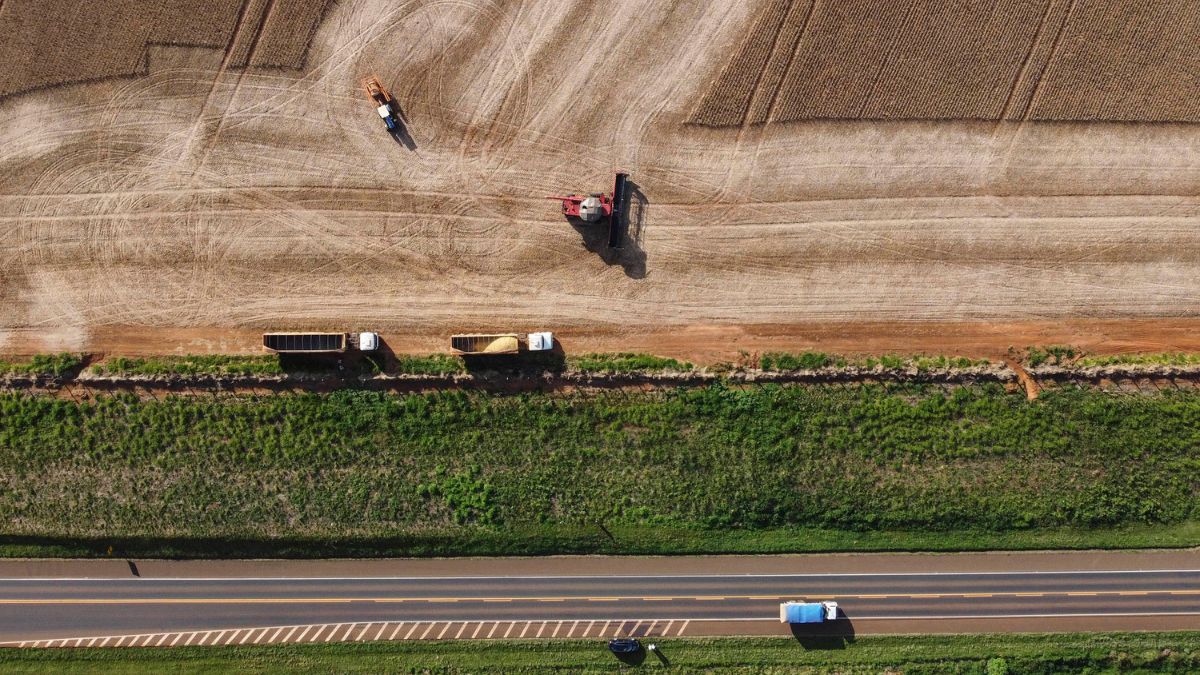 paraná, economia, atividade econômica, agronegócio, agricultura, indústria, comércio, banco central