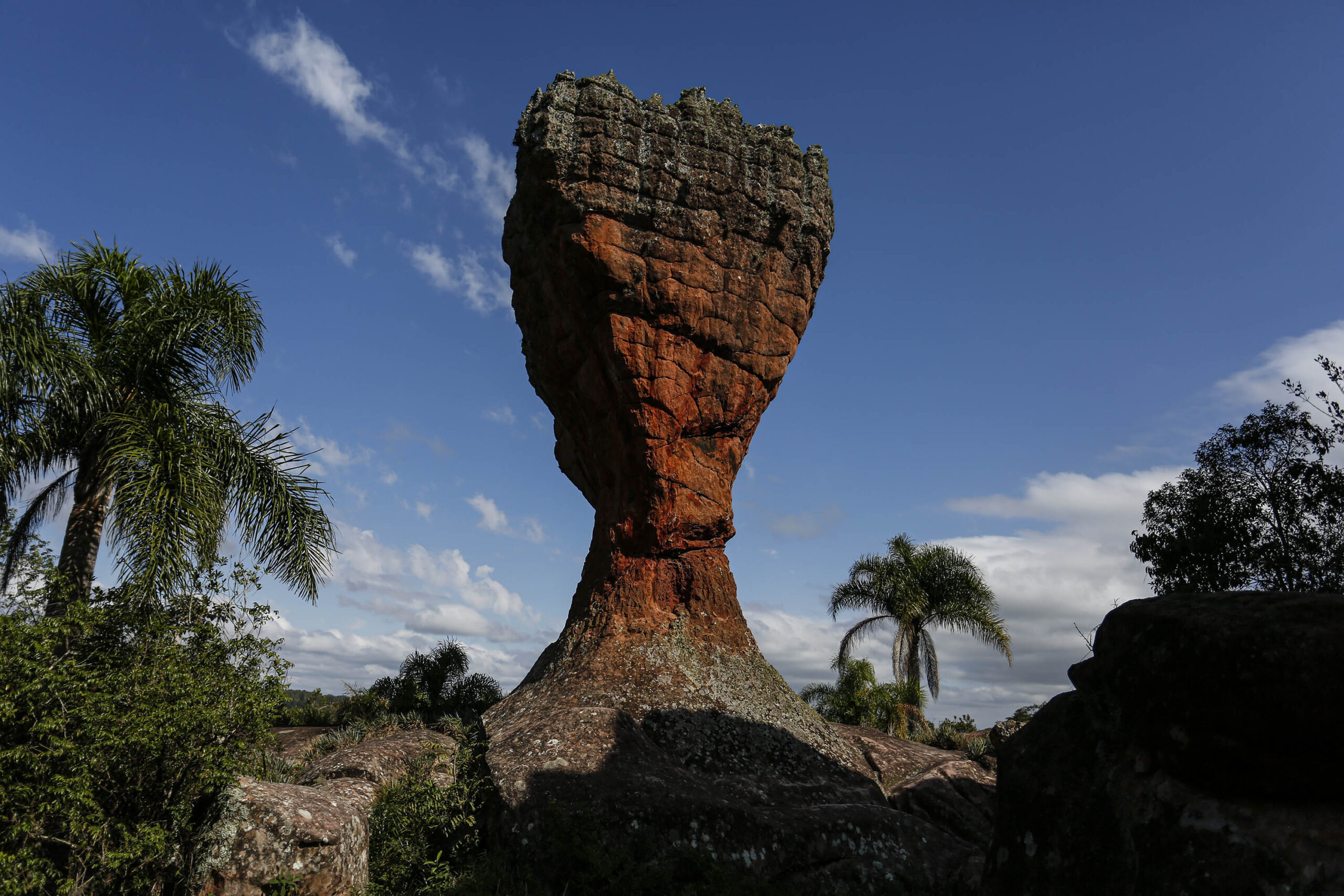 parques estaduais paraná crescimento turismo
