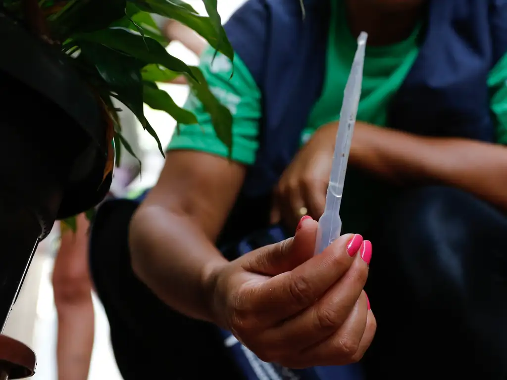 dengue mosquito combate aedes