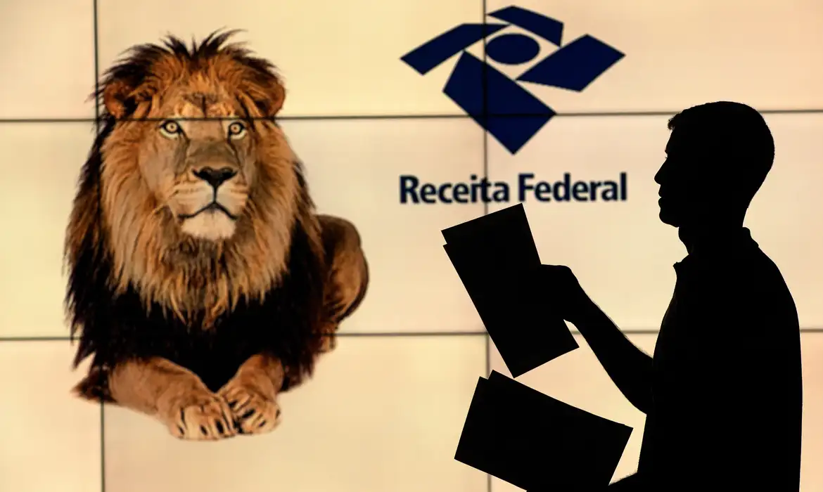 imposto-de-renda-declaraÃ§Ã£o-anual-mei