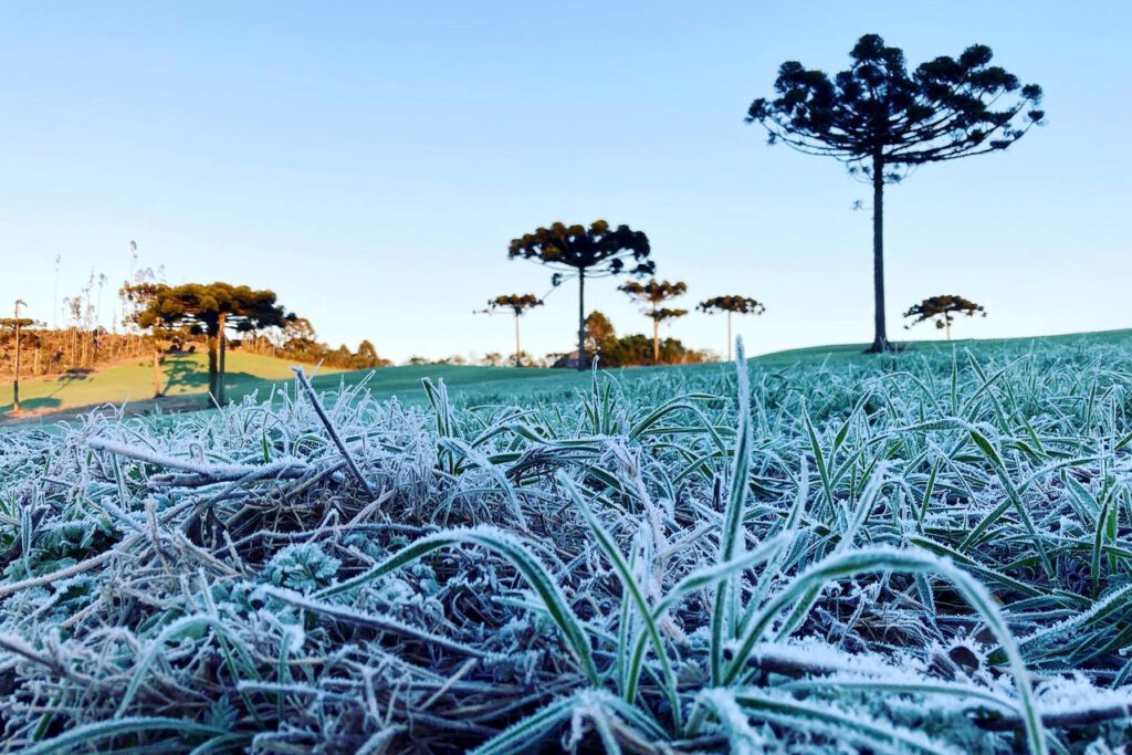 Massa de ar polar provoca queda nos termômetros e geada no Paraná