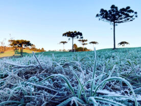 previsão do tempo geada frio inverno