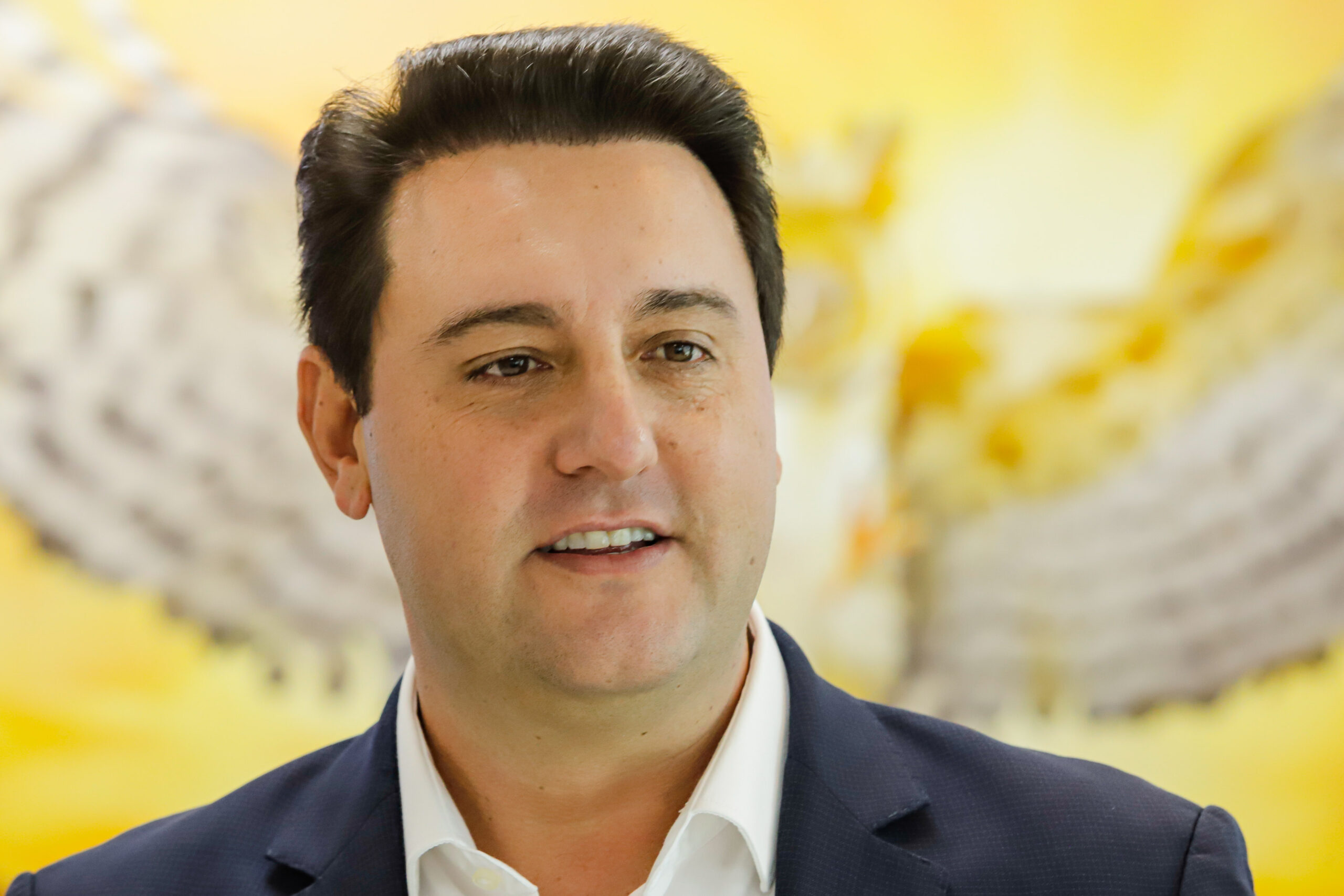 ratinho junior governador paraná candidato presidente