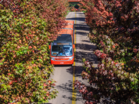 outono previsão do tempo temperatura Curitiba ônibus transporte