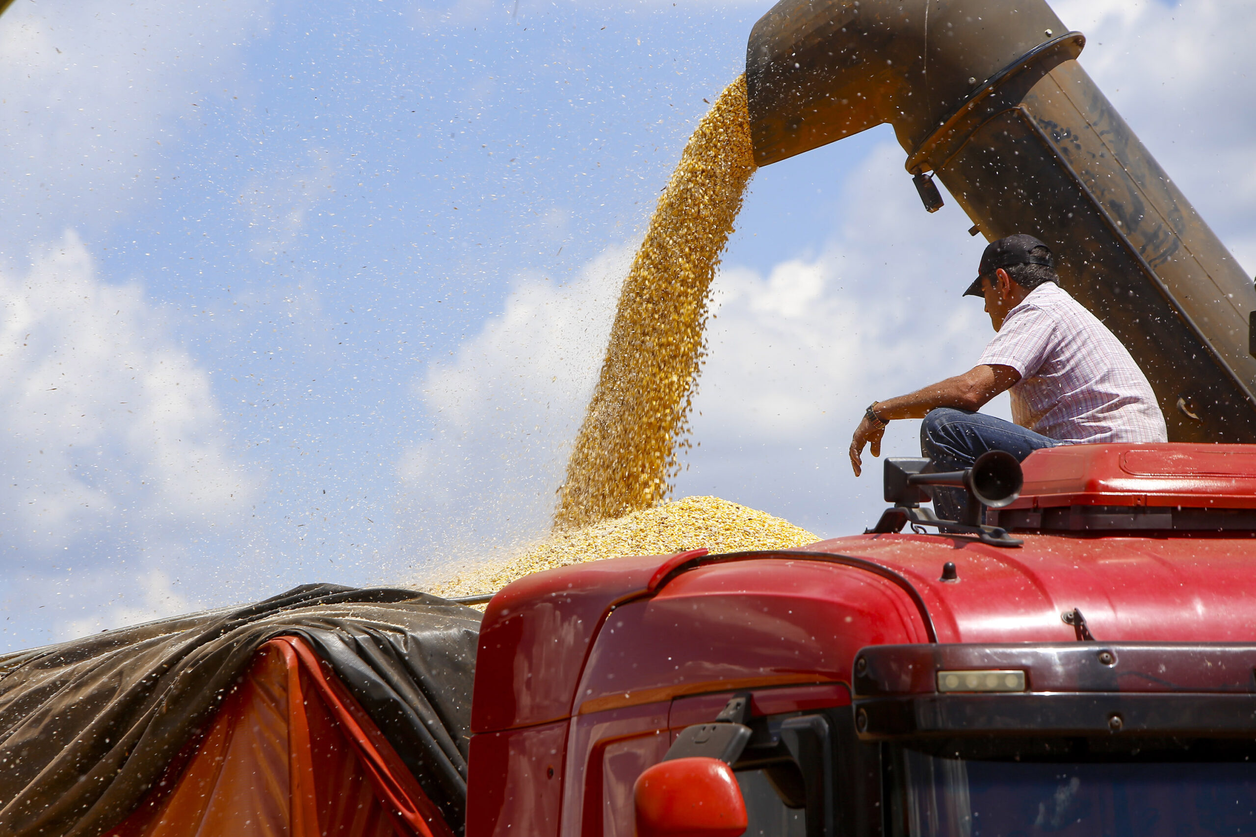 valor bruto de produção agropecuária paraná