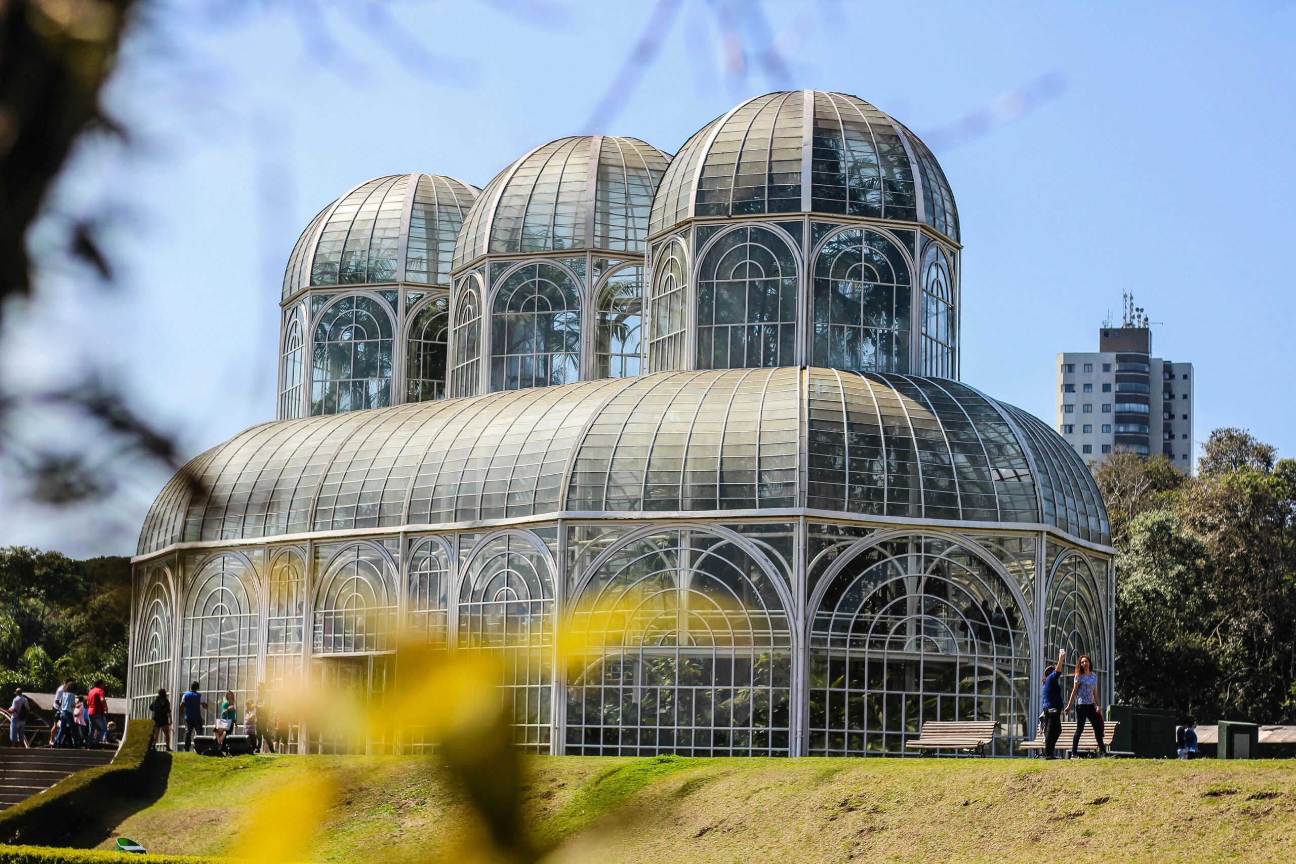-jardim-botânico-turismo-curitiba-argentina-pexels-juliano-couto-1542707-5793234