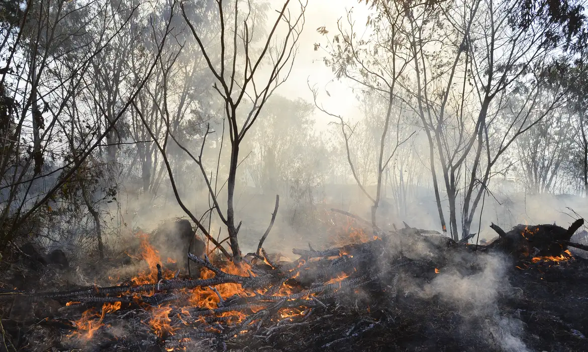 queimadas brasil incêndio