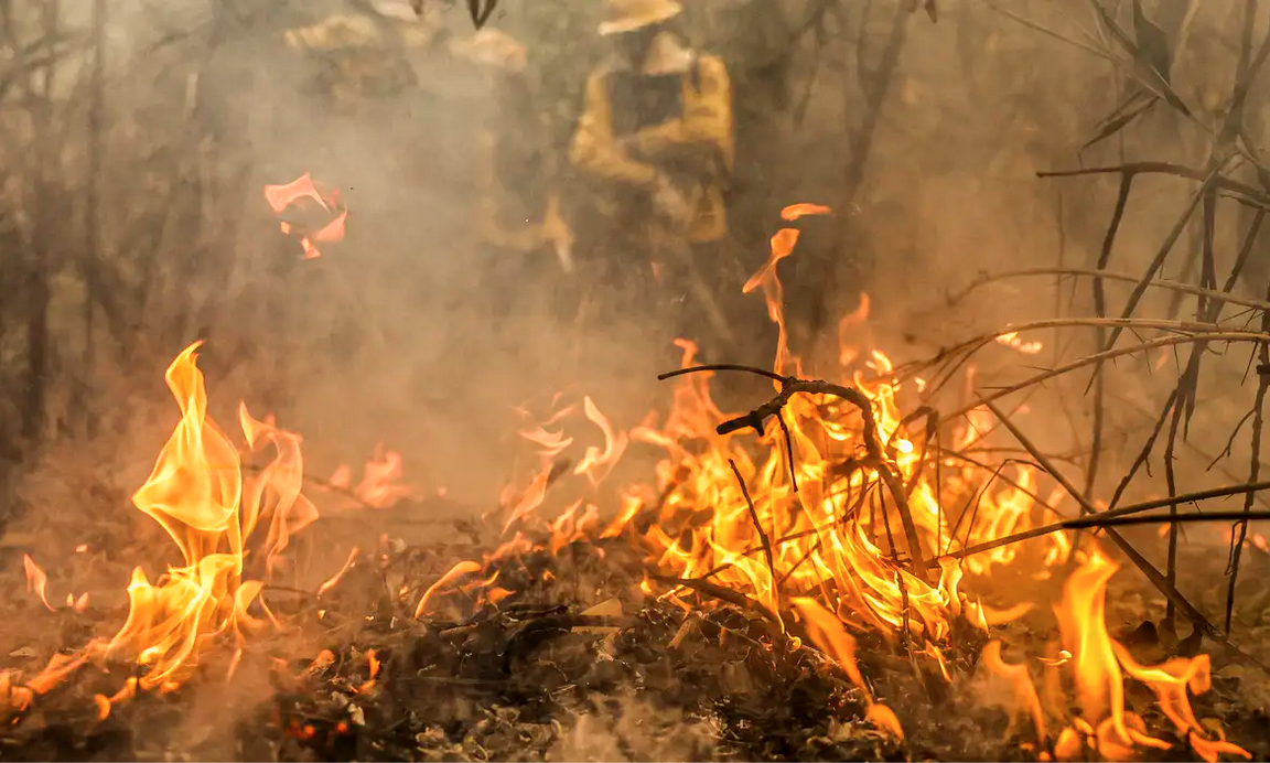 fogo incêndios queimadas