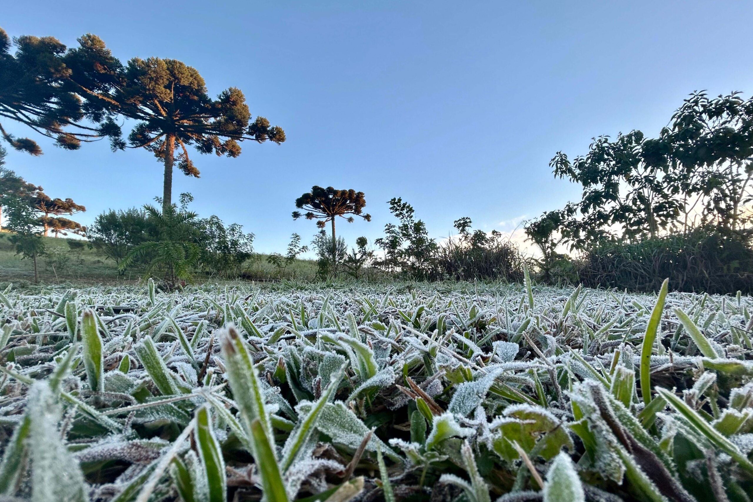 frio-paraná-previsão do tempo