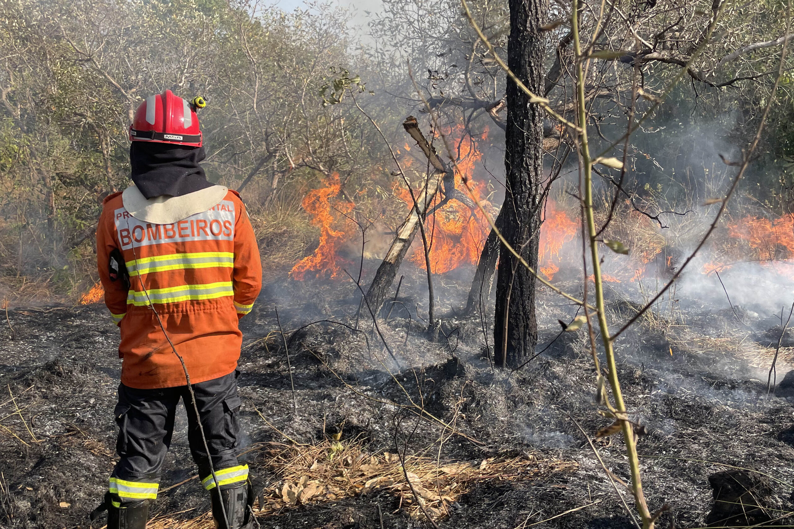 bombeiros Paraná incêndios Pantanal