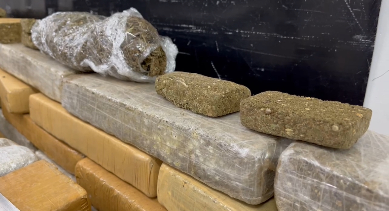 apreensão maconha Curitiba