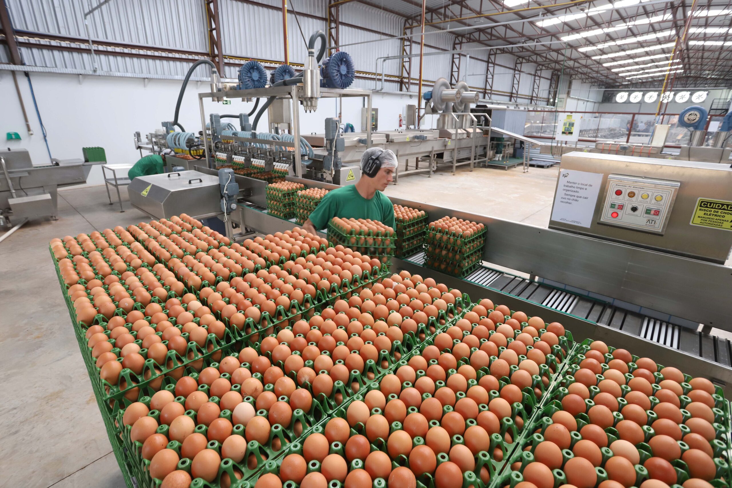 produção agropecuária Paraná ovos