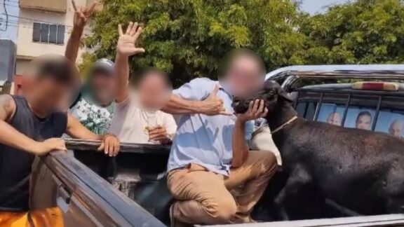 Dupla que matou bode e pintou número 13 no animal por provocação política é denunciada