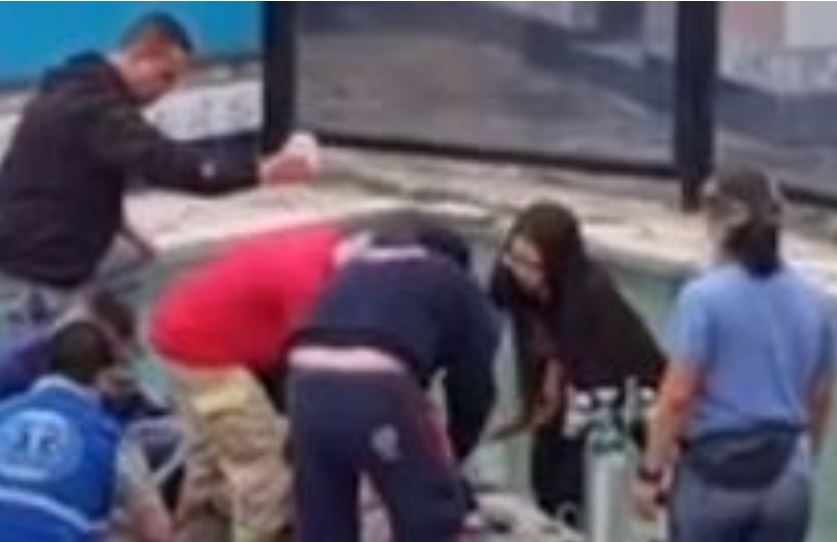 Menino que caiu em piscina em festa de Dia das Crianças morre no hospital