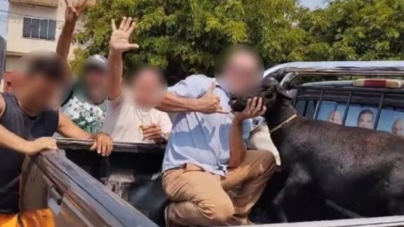 Justiça não aceita denúncia contra vereador por morte de bode em Anahy