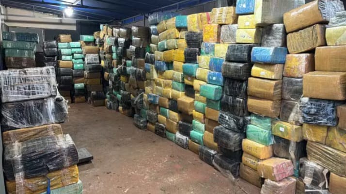 apreensão maconha Paraná