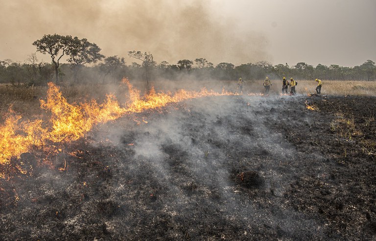queimadas Amazônia