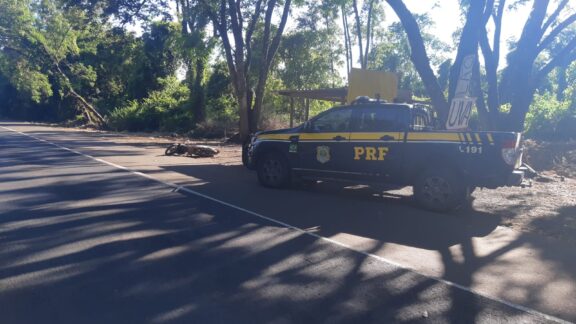 Motociclista morre após bater contra barraca de vendas na BR-277