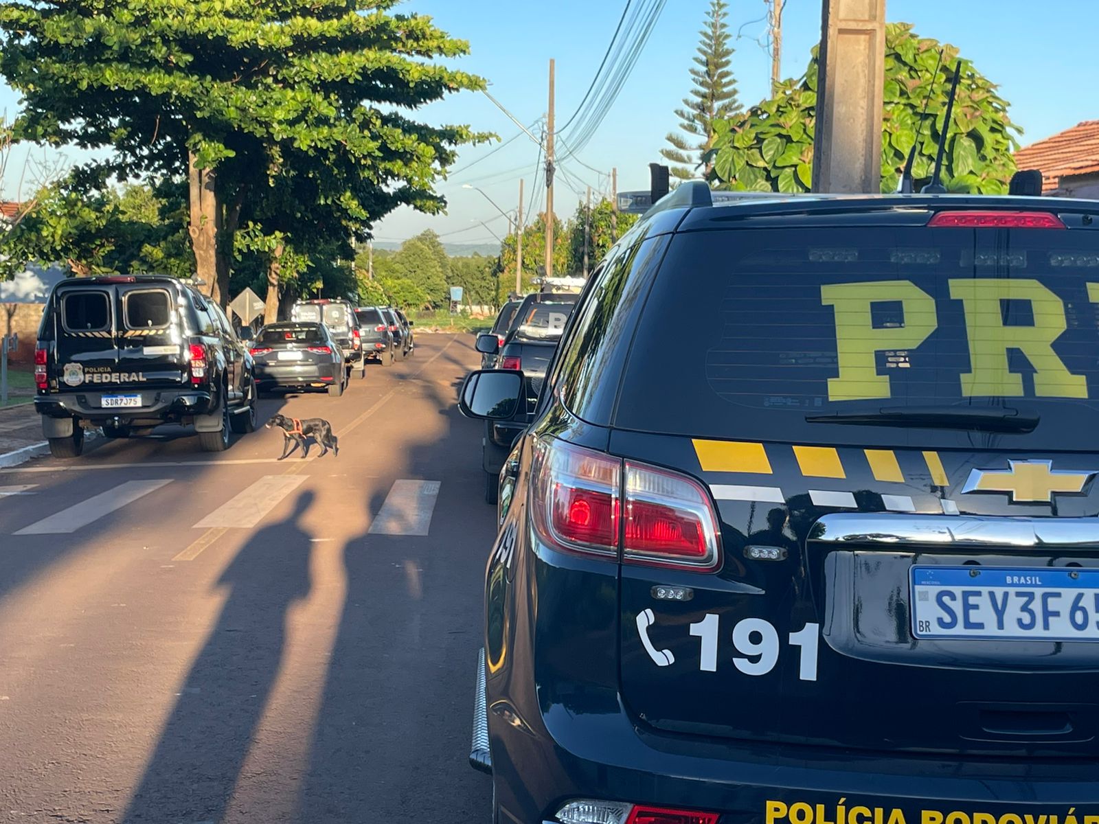 operação tráfico de drogas Santa Helena