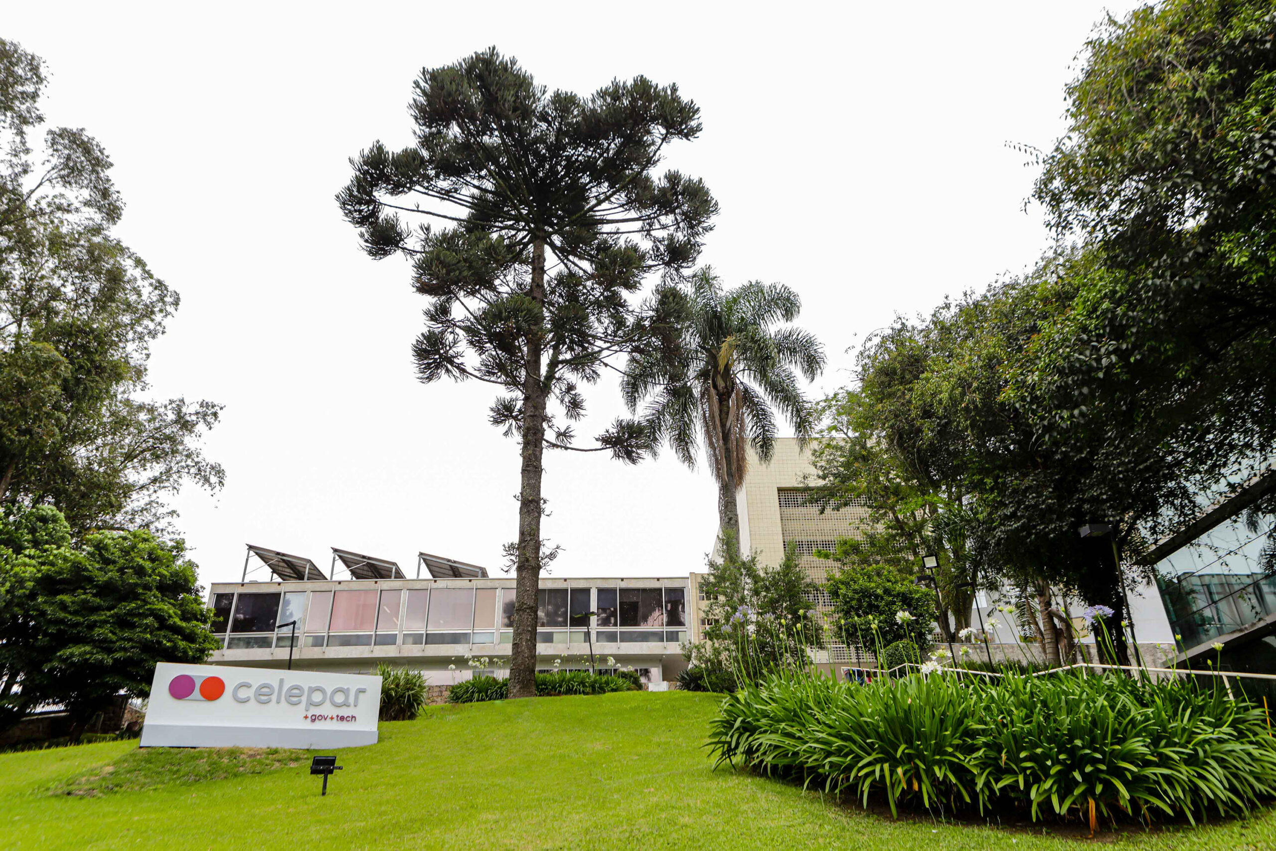 projeto-privatização-celepar-é-sancionado