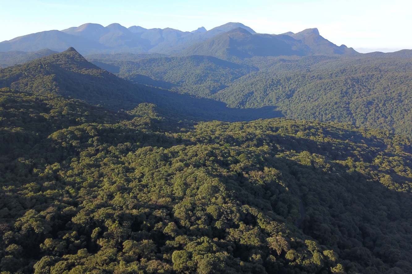Serra do Mar Paraná projeto de lei licenciamento ambiental Assembleia