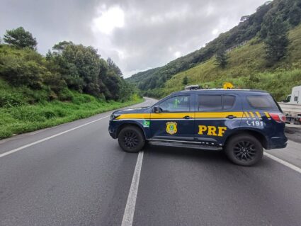 BR-277 é bloqueada para corte de árvores em Balsa Nova