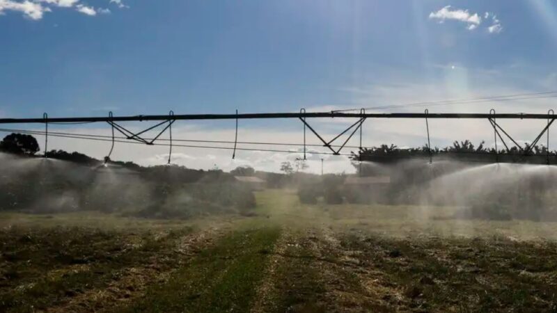 Veja como ficam as exportações agrícolas após acordo Mercosul-União Europeia