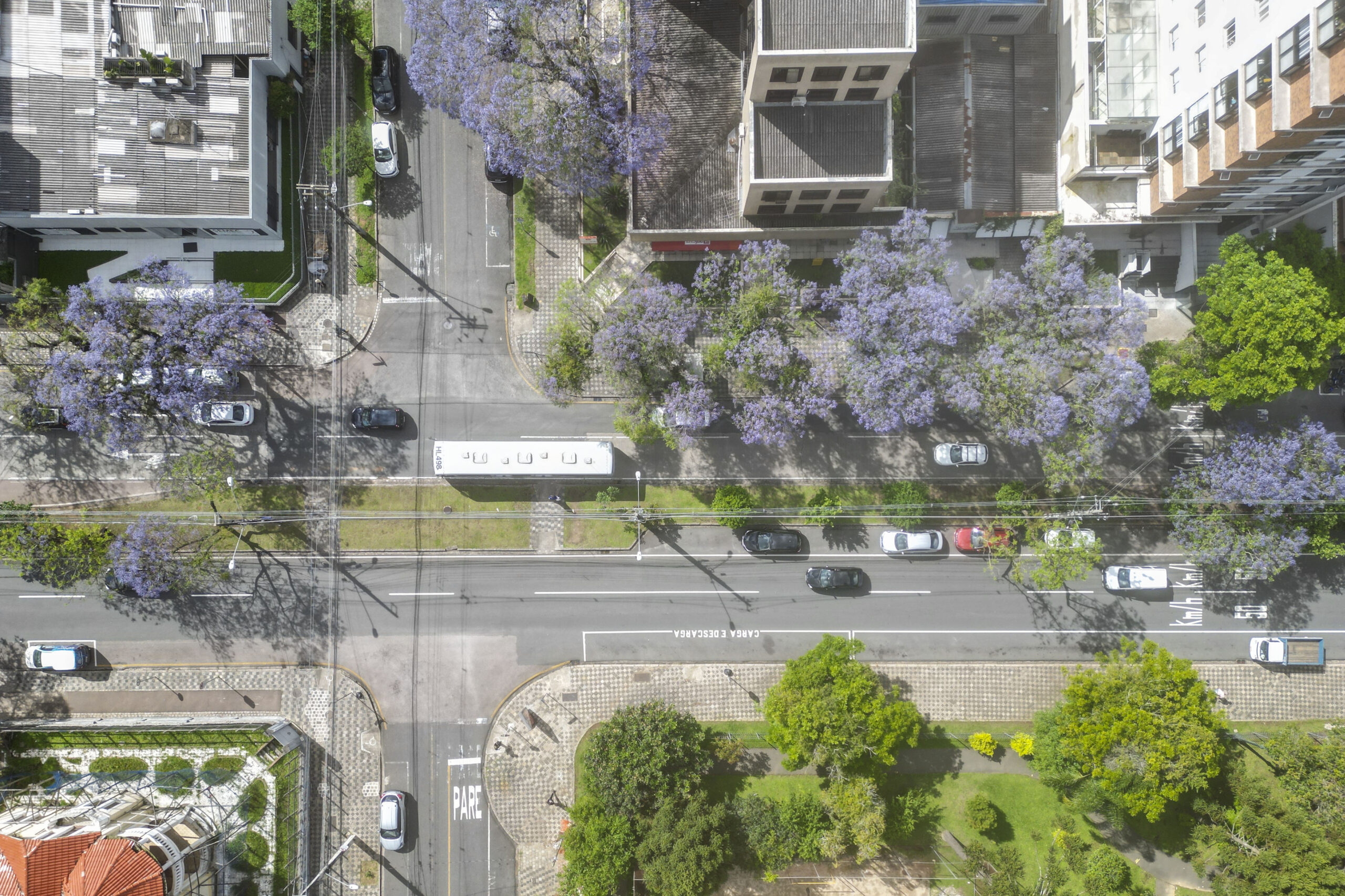 avenida iguaçu novo polo gastronômico de curitiba
