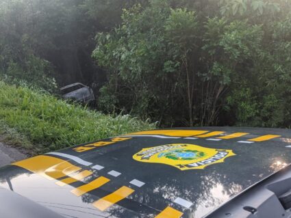 Veículo sai da pista, pega fogo e motorista morre na BR-153