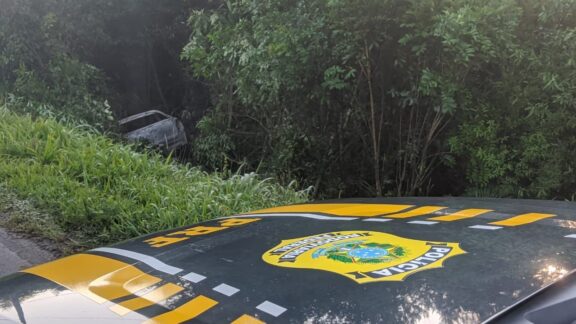 Veículo sai da pista, pega fogo e motorista morre na BR-153