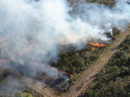 Combate a incêndios no Paraná cresceu 55% no último ano