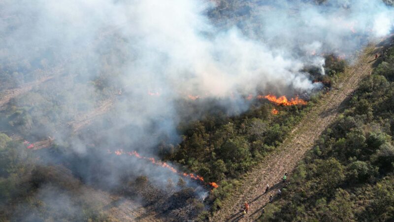 Combate a incêndios no Paraná cresceu 55% no último ano