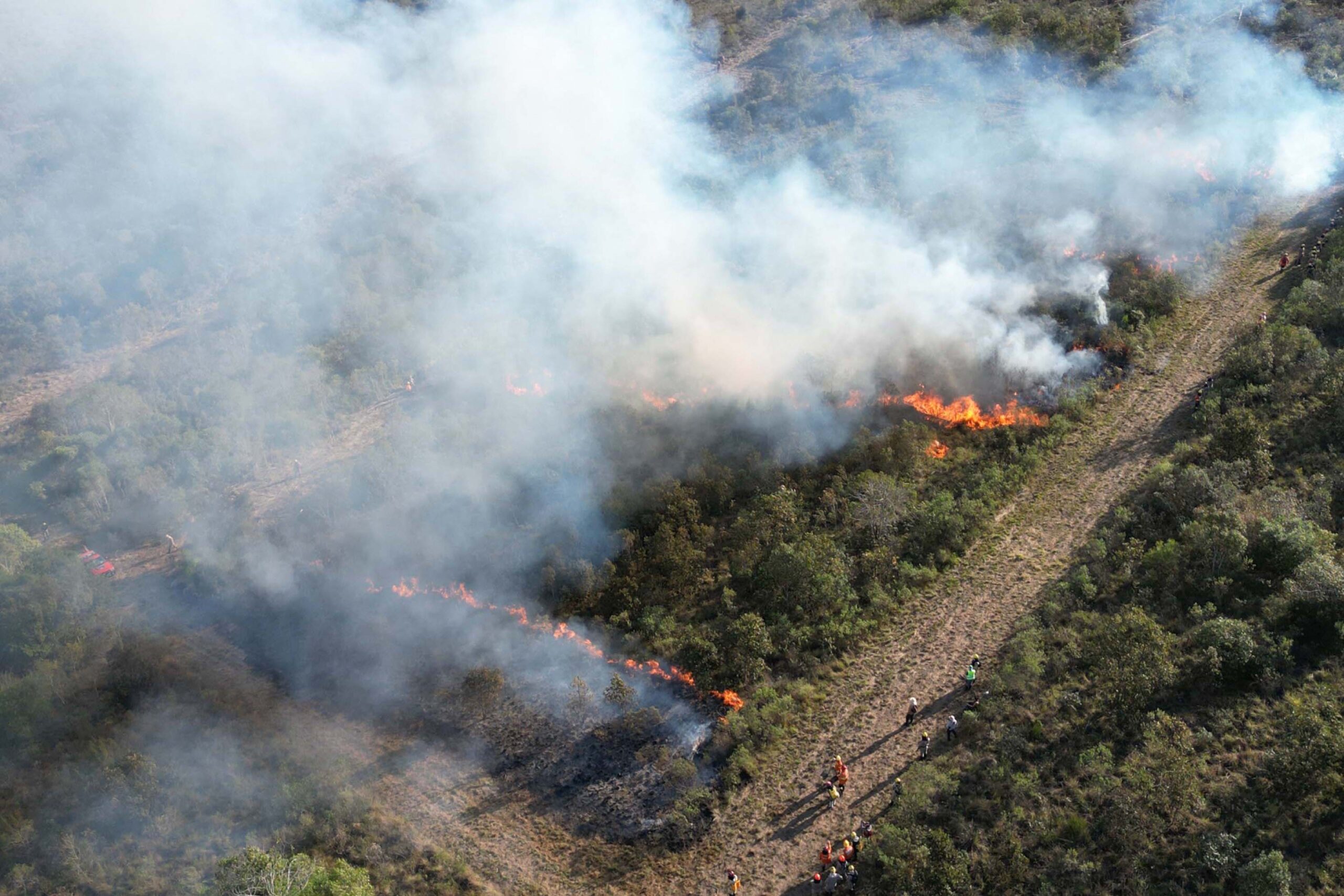 Incendios-florestais-cresceram-109-no-Parana-scaled.jpg