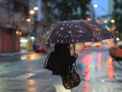 Jardins de Chuva: projeto propõe nova forma de prevenir enchentes em Curitiba