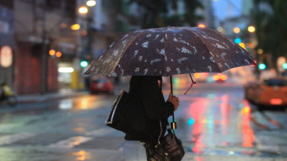 Jardins de Chuva: projeto propõe nova forma de prevenir enchentes em Curitiba