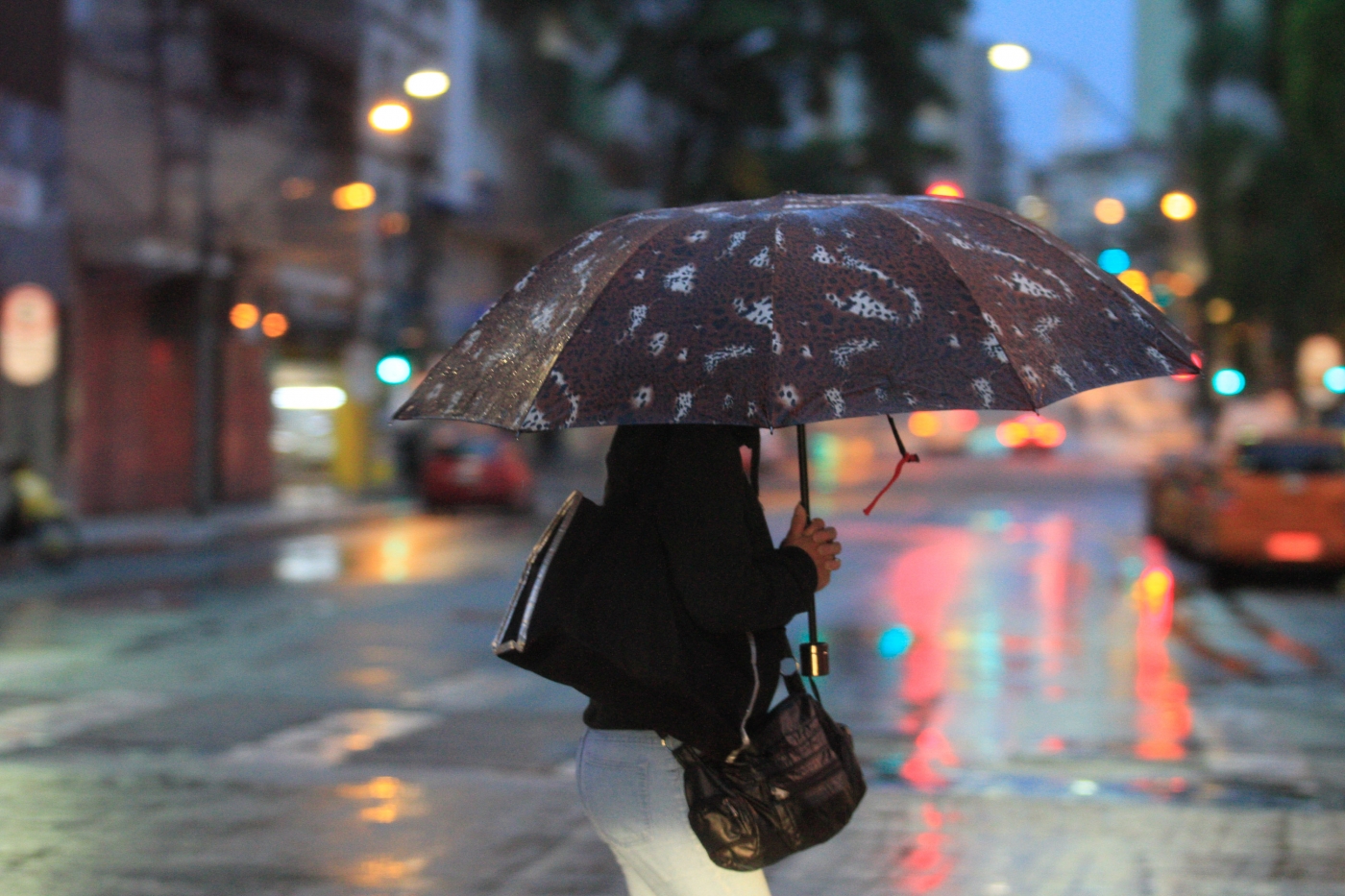 Jardins de Chuva em Curitiba projeto propõe nova forma de prevenir enchentes
