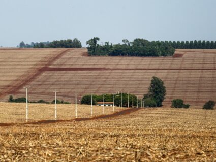 Mas quem quer vender terra agrícola?