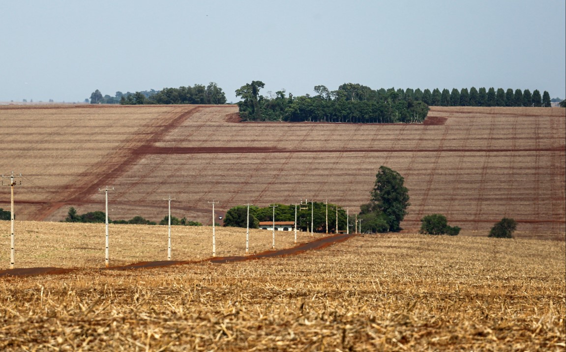 Mas quem quer vender terra agrícola